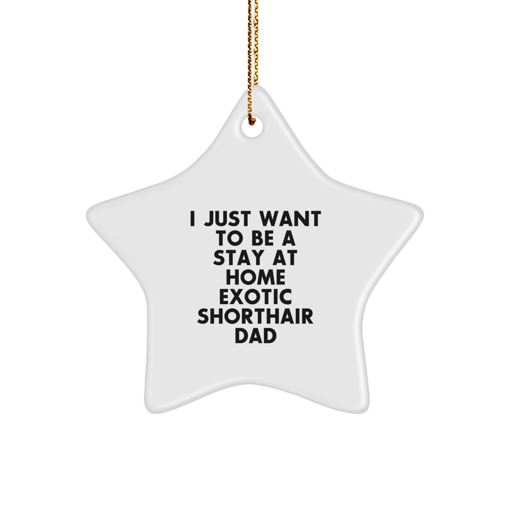 Exotic Shorthair Cat Dad Star Ornament, Funny Gift for Men from Exotic Shorthair Cat Lovers, Christmas Unique Gifts - Image 1