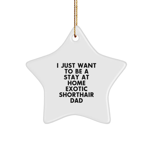 Exotic Shorthair Cat Dad Star Ornament, Funny Gift for Men from Exotic Shorthair Cat Lovers, Christmas Unique Gifts - Image 1