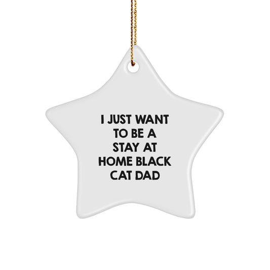 Funny Black Cat Dad Gifts from Men to Family - Star Ornament for Black Cat Lovers at Christmas, 'I Just Want To Be A Stay At Home Black Cat Dad' Quote - Image 1