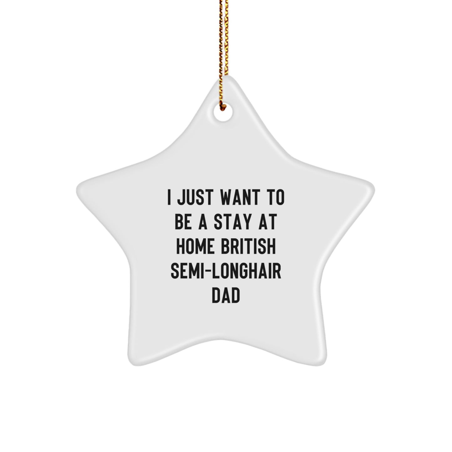 Funny British Semi-Longhair Cat Star Ornament Gifts from Dad - Image 1