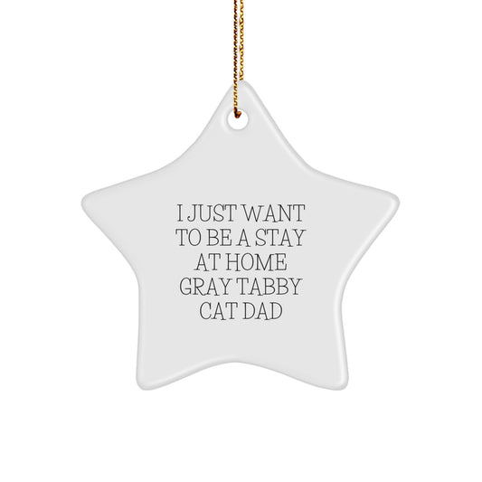 Funny Gray Tabby Cat Gifts for Men, Women, and Friends - I Just Want To Be A Stay At Home Gray Tabby Cat Dad Christmas Unique Gifts with Star Ornament - Image 1