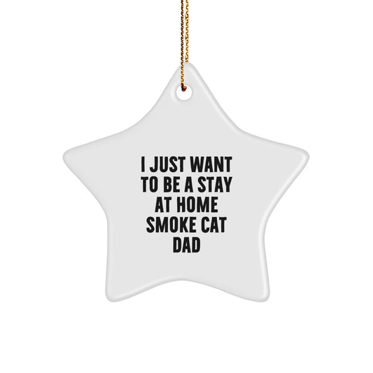 Funny Smoke Cat Gifts - 'I Just Want To Be A Stay At Home Smoke Cat Dad' Star Ornament for Christmas, Gifts from Men, Women, Friends, Family to Smoke Cat, Christmas Unique Gifts - Image 1