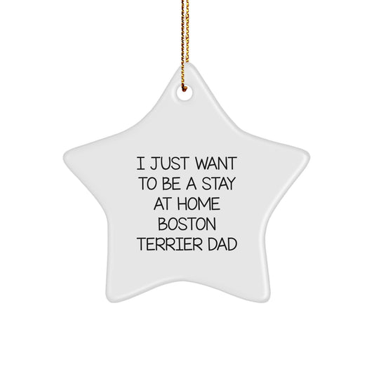Funny Boston Terrier Dad Gifts from Men to Boston Terrier Dog Lovers, Cute Star Ornament for Christmas Unique Gifts for Friends, Family or Coworkers - Image 1