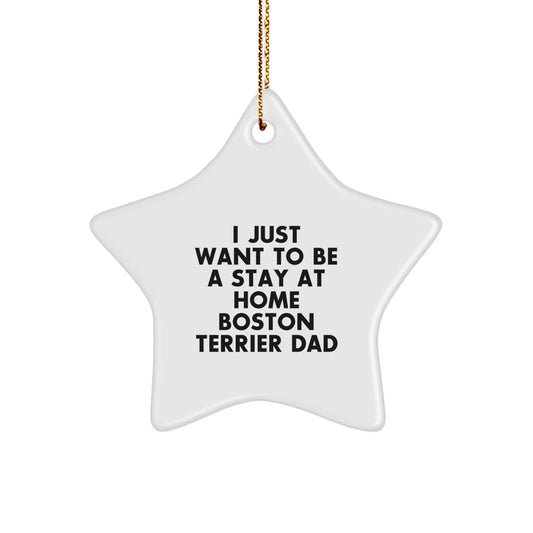 Cute Boston Terrier Dog Star Ornament Gifts from Men to Family on Christmas Unique Gifts - Image 1