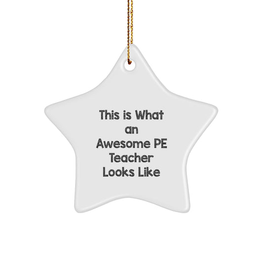 Funny Inspirational PE Teacher Star Ornament Gifts for Men Women Friends Christmas Unique Gifts from Family - Image 1