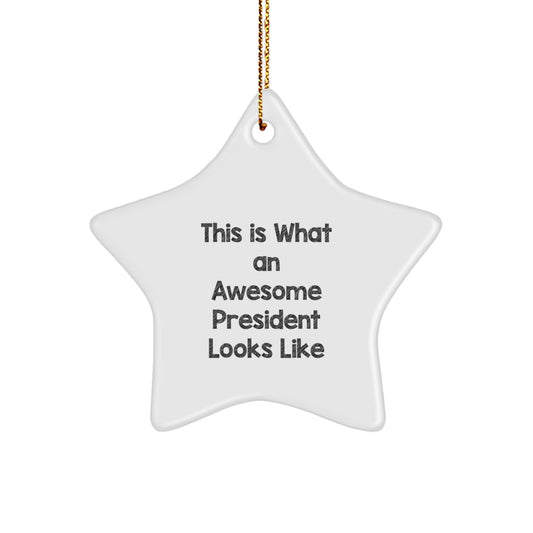 Funny President Star Ornament, Gifts for Men, Women, Friends, Coworkers, Family, Funny President Christmas Unique Gifts - Image 1