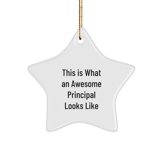 Funny Principal Gifts from Friends for Christmas Unique Star Ornament with This Is What An Awesome Principal Looks Like Quote - Image 1