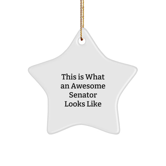 Senator Gifts - This Is What An Awesome Star Ornament Looks Like, Funny Quote, White Star Shaped MDF, Perfect for Christmas, Gifts from Family, Gifts for Senator - Image 1