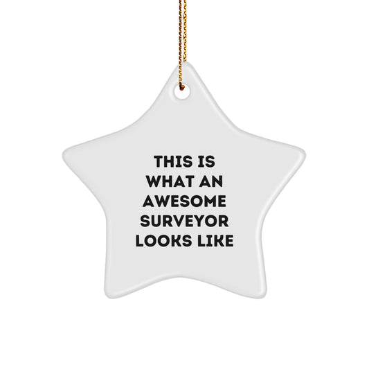 Funny Surveyor Gifts from Friends for Men's Christmas Unique Star Ornament - Image 1