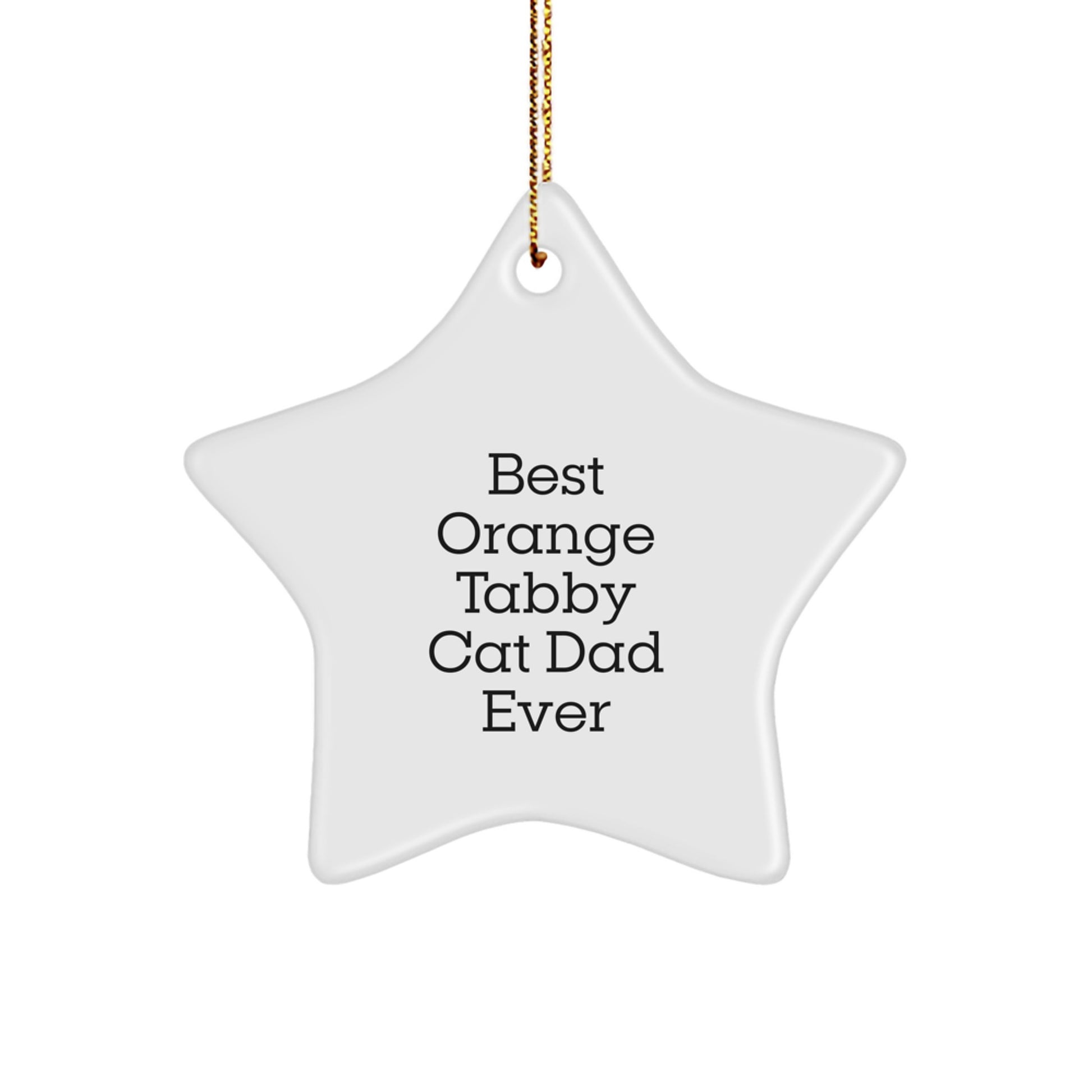 Orange Tabby Cat Dad Ever Gifts, Best Star Ornament for Him, Funny Christmas Memorable Present from Friends, Family, or Coworkers - Image 1