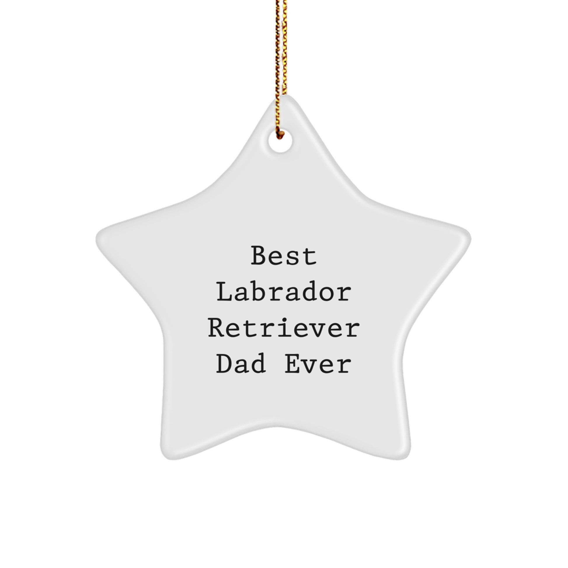 Labrador Retriever Dog Gifts for Dad from Family - 'Best Labrador Retriever Dad Ever' Star Ornament, Funny Christmas Decoration - Image 1