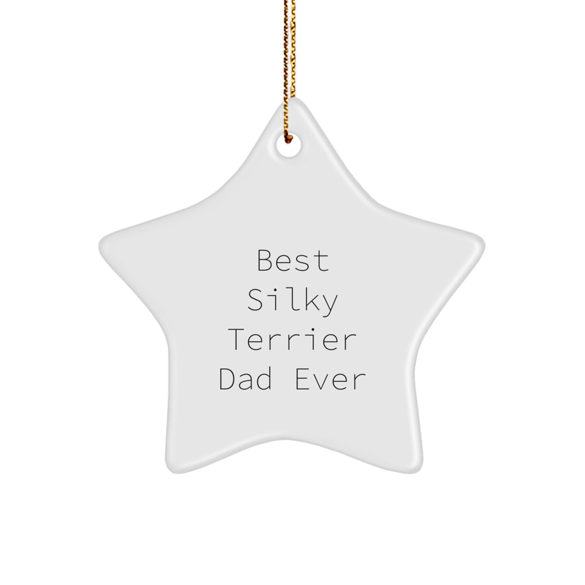 Funny Silky Terrier Dog Gifts, Best Silky Terrier Dad Ever, Star Ornament, Christmas Unique Presents from Family to Friends - Image 1
