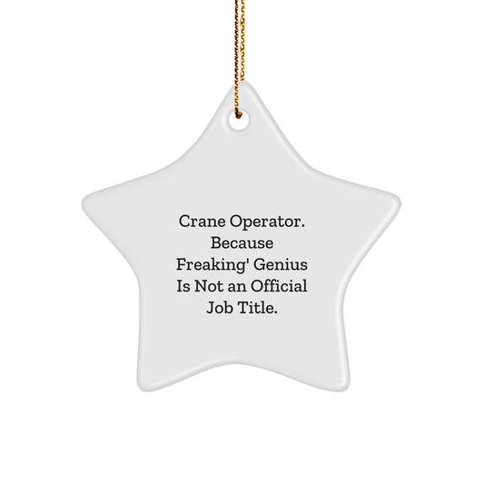 Gifts from Family Members for Crane Operator - Funny Star Ornament, Christmas Unique Gifts for Men, Women, Friends, Coworkers, genius at Work Humor - Image 1