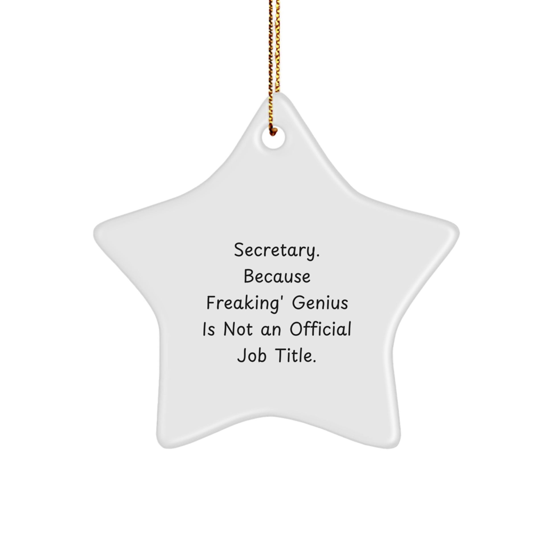 Funny Secretary Star Ornament Gifts from Friends, Coworkers, Family for Christmas Unique - Image 1