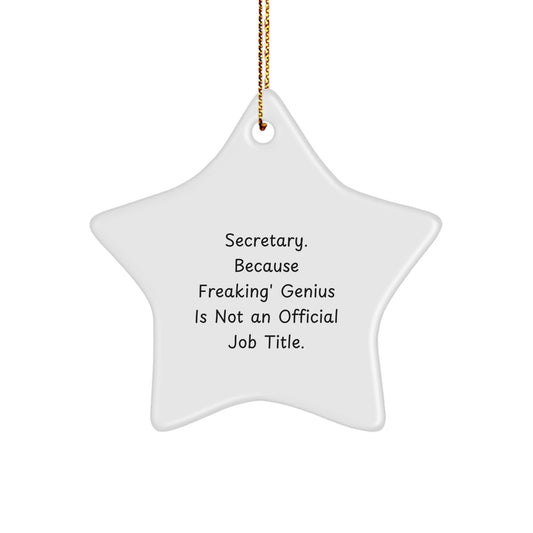 Funny Secretary Star Ornament Gifts from Friends, Coworkers, Family for Christmas Unique - Image 1