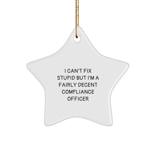 Funny Compliance Officer Gifts from Friends, Star Ornament Unique Christmas Decorations, I'm Decent Gifts for Compliance Officer, Funny Star Ornament - Image 1