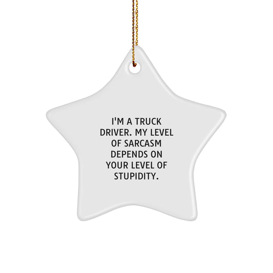 Funny Truck Driver Gifts from Friends, Christmas Unique Star Ornament for Men, I'm a Truck Driver Quote Star Decoration - Image 1