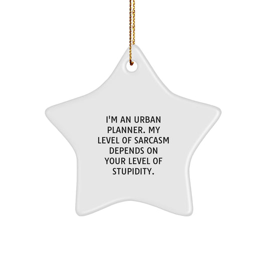 Funny Urban Planner Gifts for Friends, Cute Star Ornament with Sarcastic Quote, Christmas Unique Gifts from Men to Family - Image 1