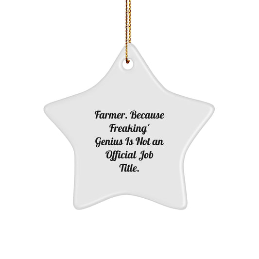 Funny Farmer Star Ornament Gifts from Friends for Christmas - 'Farmer. Because Freaking' genius Is Not An Official Job Title.' - Image 1