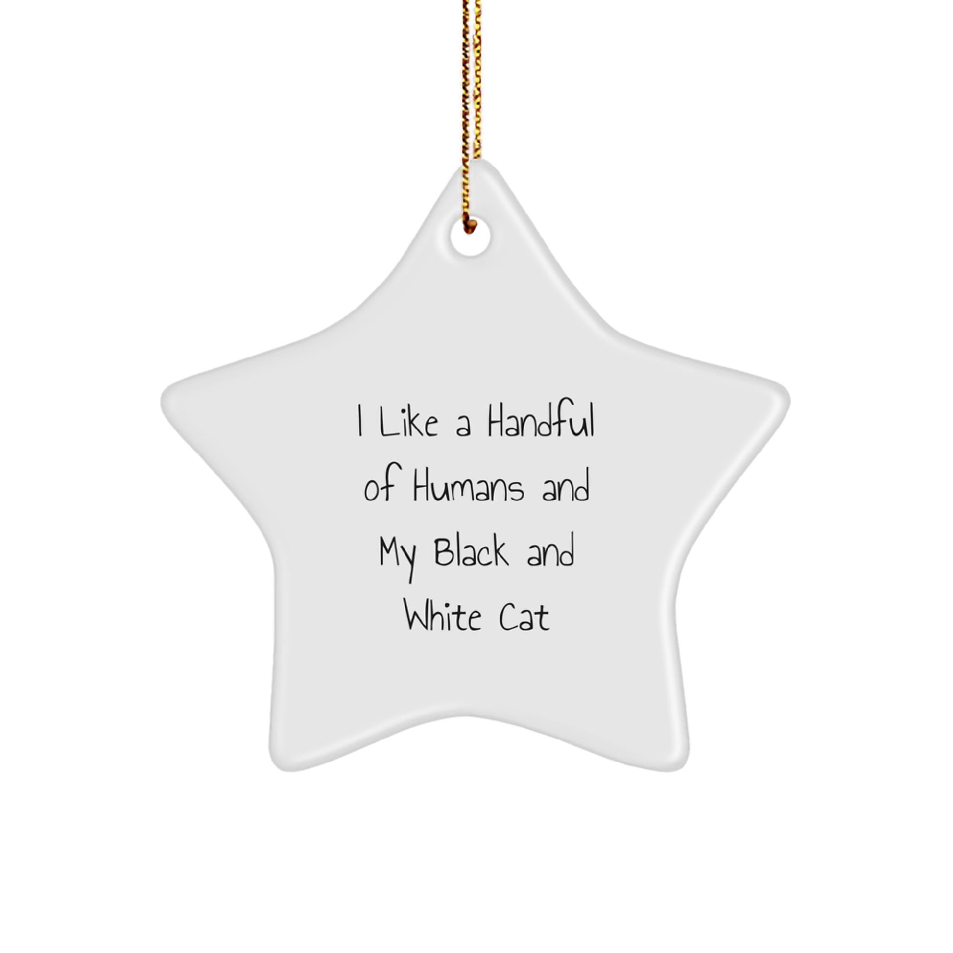Black and White Cat Lover's Funny Christmas Unique Gift, Star Ornament, Gifts from Men to Family, Perfect for Black and White Cat Enthusiasts - Image 1