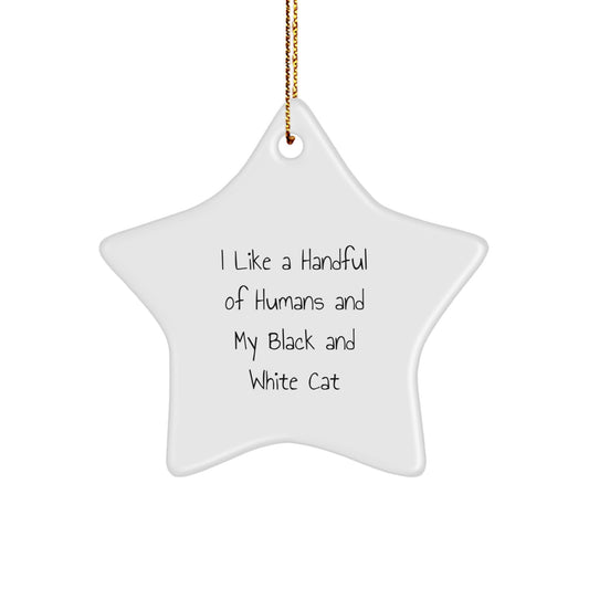 Black and White Cat Lover's Funny Christmas Unique Gift, Star Ornament, Gifts from Men to Family, Perfect for Black and White Cat Enthusiasts - Image 1
