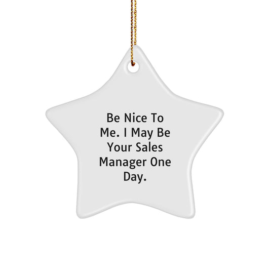 Funny Sales Manager Gifts for Him from Friends - 'Be Nice To Me. I May Be Your Sales Manager One Day.' White Star Ornament for Christmas Unique Gifts - Image 1