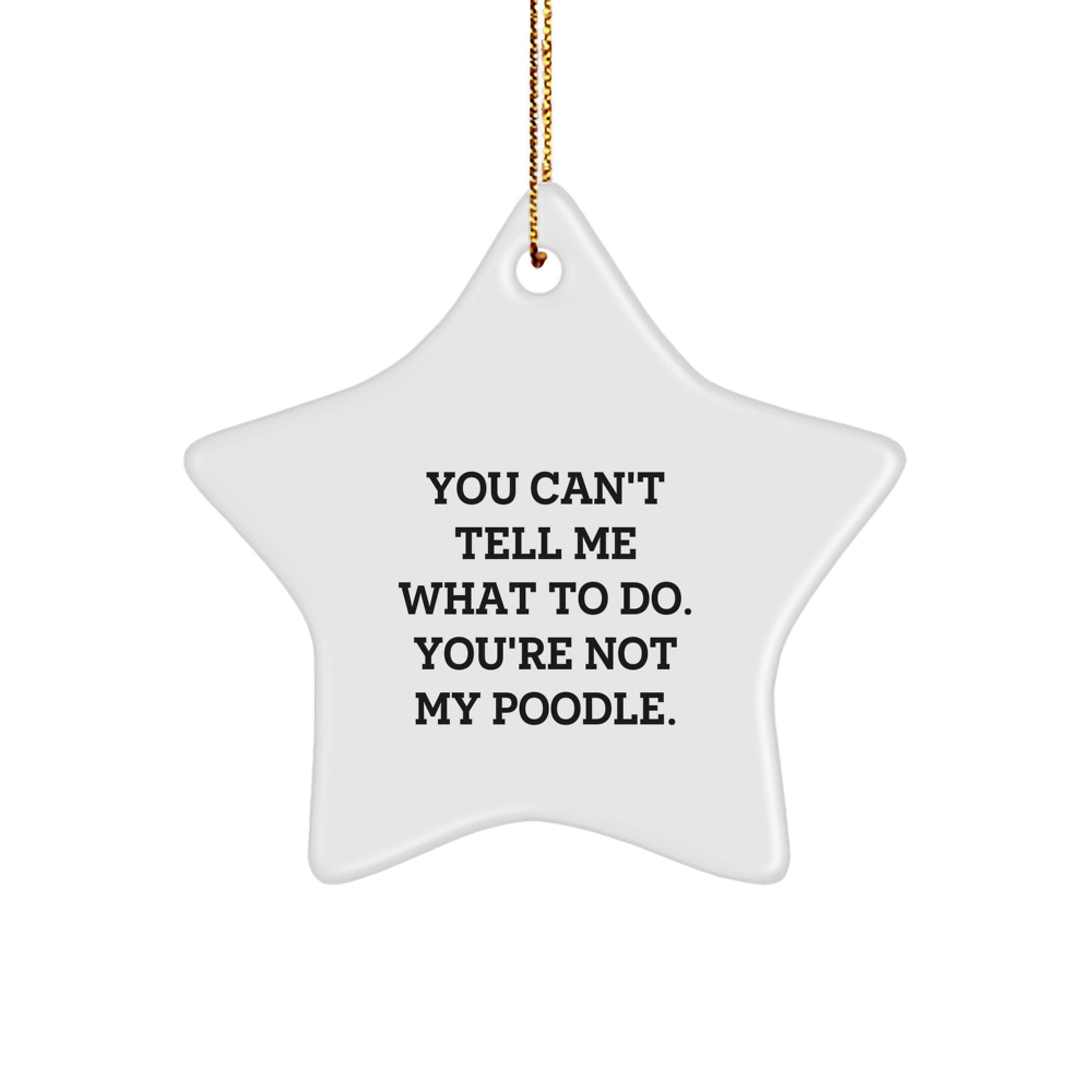 Funny Poodle Dog Star Ornament Gifts from Family for Christmas Home Decor - Image 1