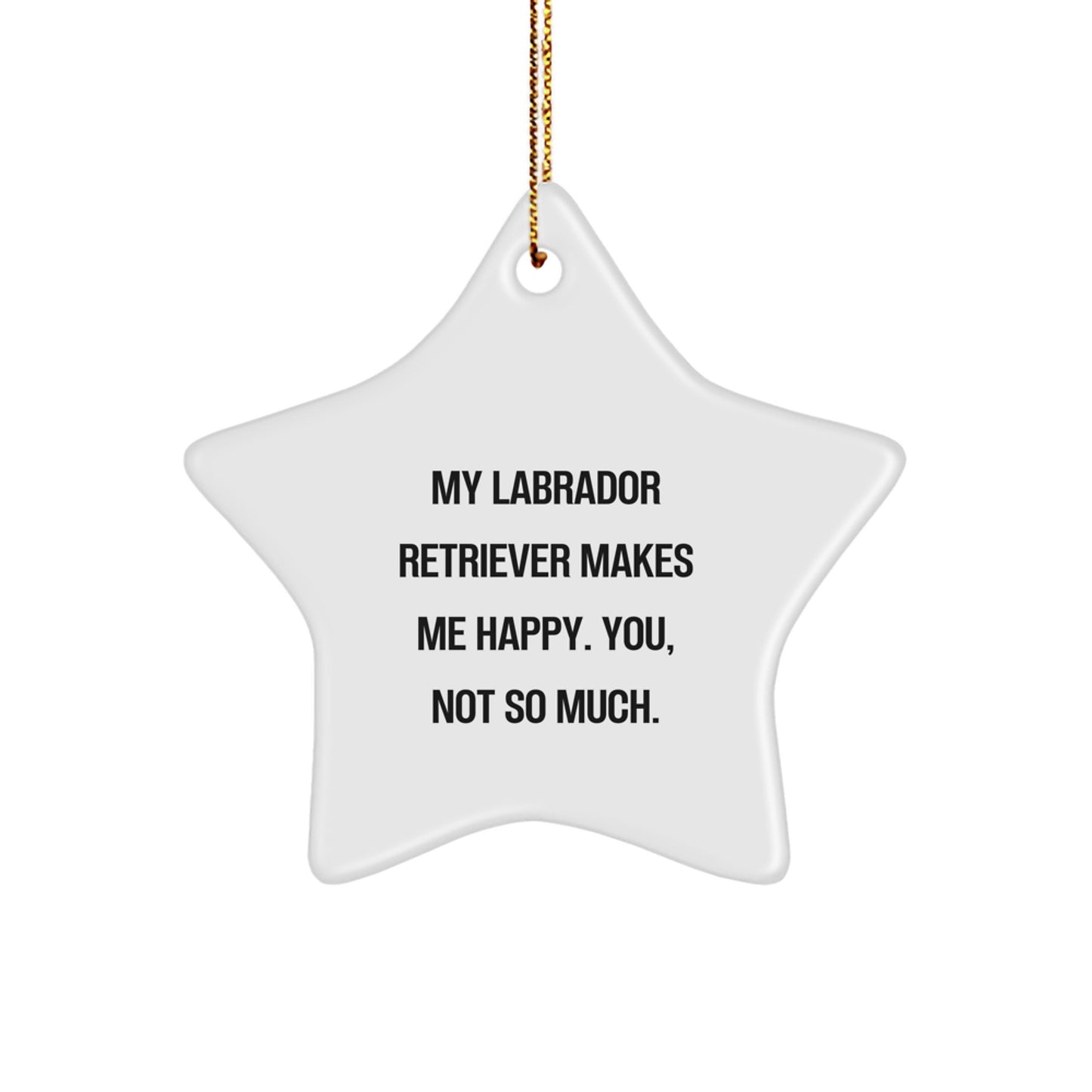 Funny Labrador Retriever Dog Star Ornament Gifts from Friends for Christmas - You Not So Much - Image 1
