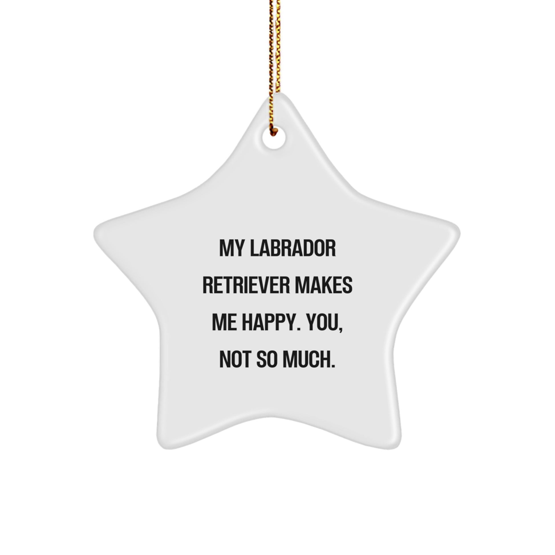 Funny Labrador Retriever Dog Star Ornament Gifts from Friends for Christmas - You Not So Much - Image 1