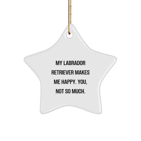 Funny Labrador Retriever Dog Star Ornament Gifts from Friends for Christmas - You Not So Much - Image 1