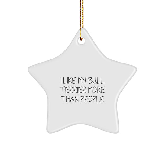 Bull Terrier Dog Lover Gifts from Friends, Star Ornament for Christmas, I Like My Bull Terrier More Than People - Image 1