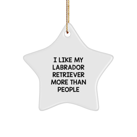 Labrador Retriever Dog Gifts for Christmas - 'I Like My Labrador Retriever More Than People' Star Ornament from Friends - Image 1