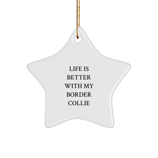 Funny Border Collie Dog Gifts from Friends for Border Collie Dog Lovers - Star Ornament with Life Is Better With My Border Collie Quote, Christmas Unique Presents for Him Her Family - Image 1