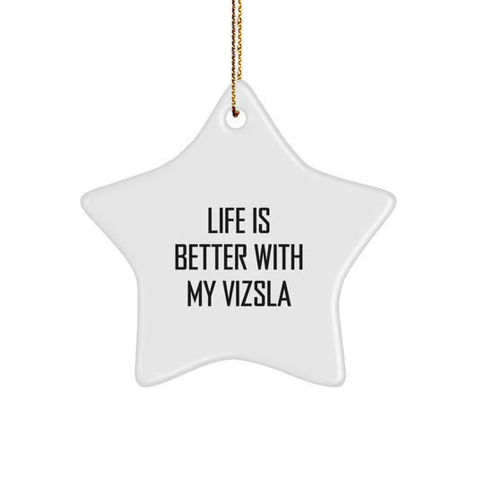 Funny Vizsla Dog Lover Gifts, Star Ornament for Christmas Unique Gifts from Friends, Family, or Coworkers for Your Favorite Vizsla Dog Owner - Image 1
