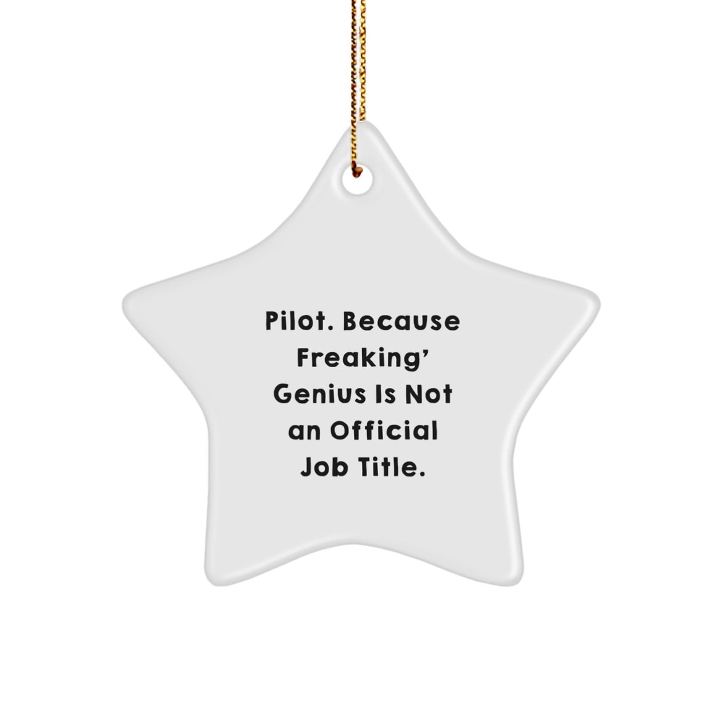 Pilot Gifts for Christmas, Funny Star Ornament, Pilot genius Quote, Unique Gifts from Friends to Pilot, Pilot Decorations - Image 1