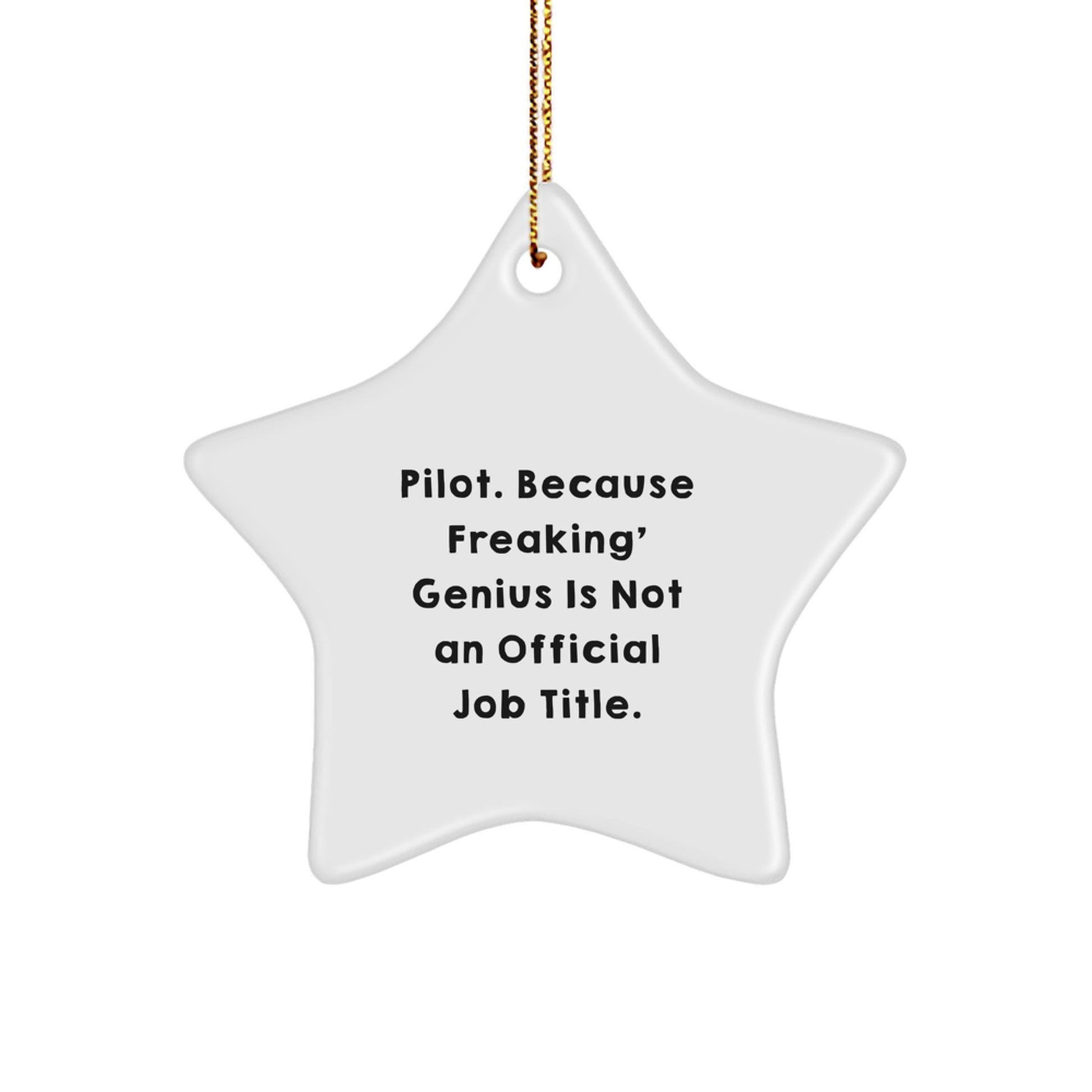 Pilot Gifts for Christmas, Funny Star Ornament, Pilot genius Quote, Unique Gifts from Friends to Pilot, Pilot Decorations - Image 1