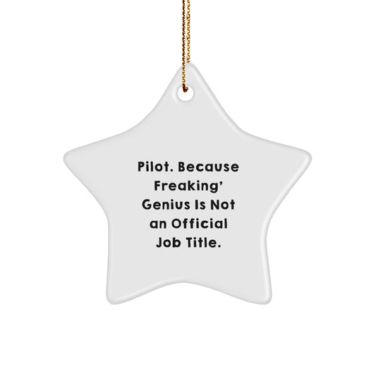 Pilot Gifts for Christmas, Funny Star Ornament, Pilot genius Quote, Unique Gifts from Friends to Pilot, Pilot Decorations - Image 1