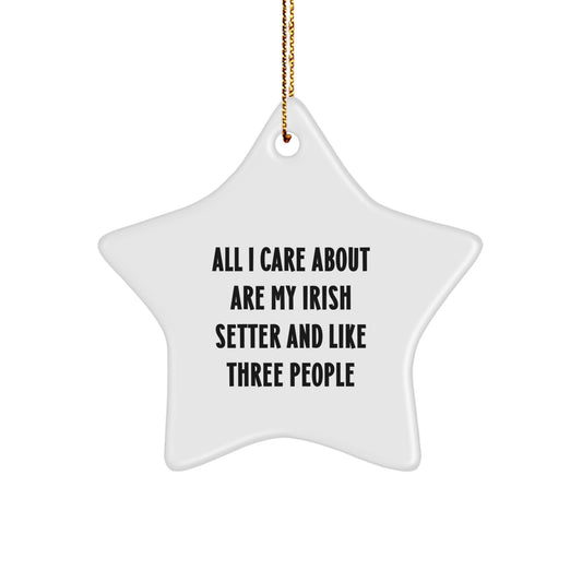 Irish Setter Dog Lovers Gifts, Funny Star Ornament from Friends, 'All I Care About Are My Irish Setter And Like Three People' Christmas Decorations for Men, Women - Image 1