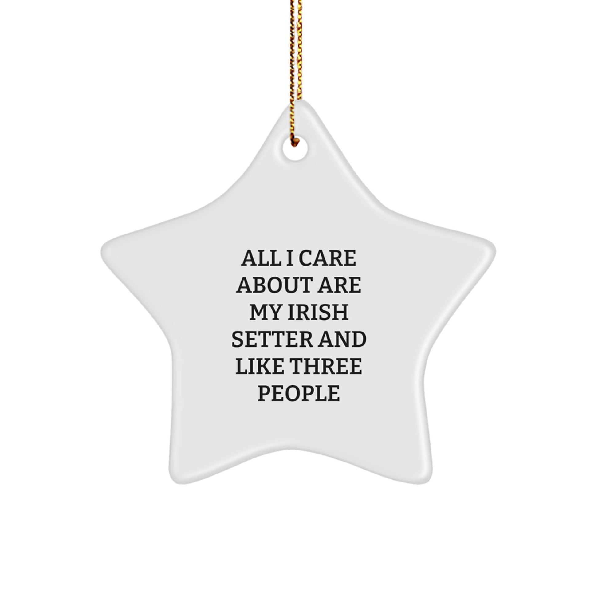 Irish Setter Dog Lover's Christmas Unique Gift, 'All I Care About Are My Irish Setter And Like Three People' Star Ornament, Gifts from Friends to Family - Image 1