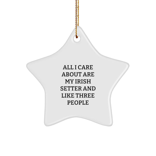 Irish Setter Dog Lover's Christmas Unique Gift, 'All I Care About Are My Irish Setter And Like Three People' Star Ornament, Gifts from Friends to Family - Image 1