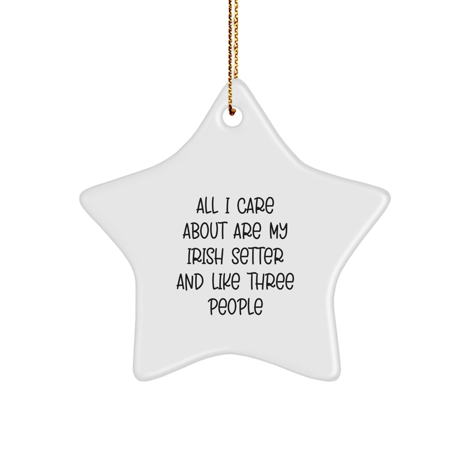 Irish Setter Dog Lovers' Gift, 'All I Care About Are My Irish Setter And Like Three People', Star Ornament Gifts from Family, Friends, or Coworkers for Christmas - Image 1