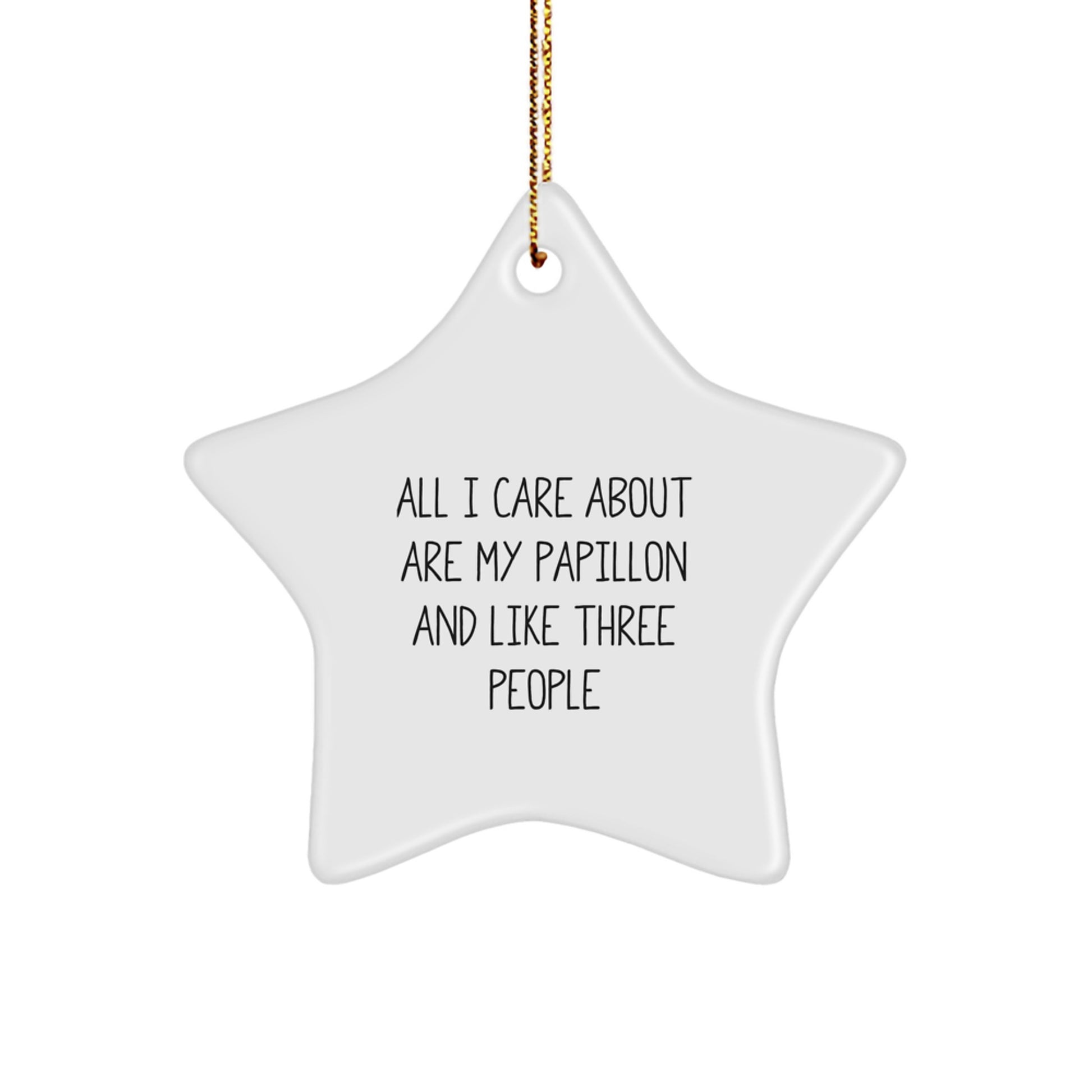 Papillon Dog Lover's Funny Christmas Star Ornament Gifts from Friends and Family - Image 1