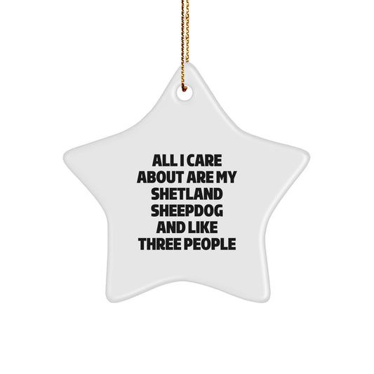 Shetland Sheepdog Lovers Delight, Funny Quote Star Ornament Gifts for Family, Friends, or Coworkers, Christmas Unique Gifts from Men, Women, or Kids - Image 1