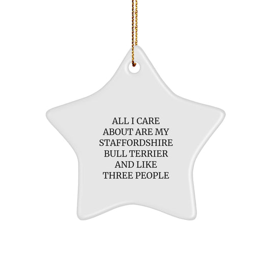 Staffordshire Bull Terrier Dog Star Ornament Funny Quote Gifts from Family to Friends for Christmas - Image 1