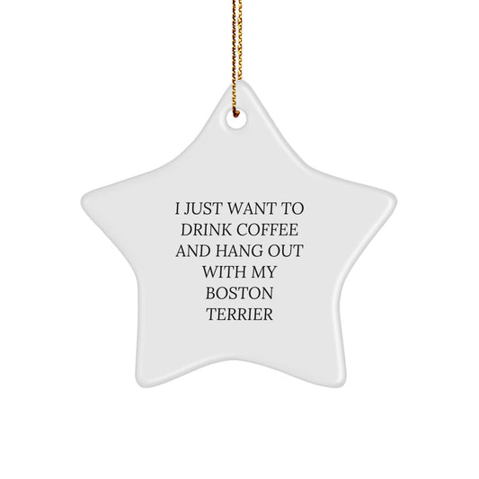 Boston Terrier Dog Gifts from Men to Friends on Christmas Unique Gifts with 'I Just Want To Drink Coffee And Hang Out With My Boston Terrier' Funny Quote Star Ornament - Image 1