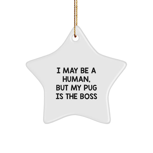 Pug Dog Lover Gifts from Friends and Family - Funny Star Ornament for Christmas Unique Gifts - Image 1
