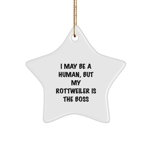 Funny Rottweiler Dog Christmas Unique Gifts from Men to Best Friends Star Ornament, Inspirational Rottweiler Dog Decor for Women Coworkers Family - Image 1