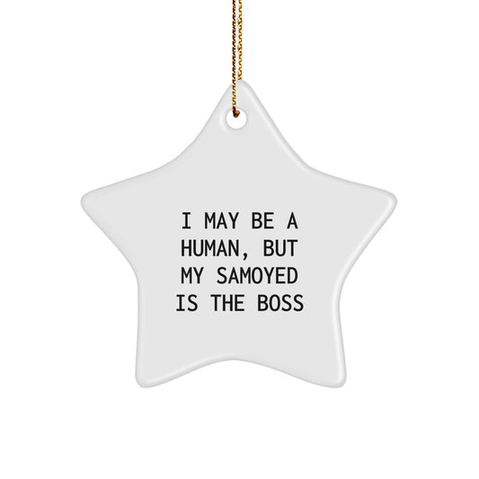 Funny Samoyed Dog Star Ornament, Christmas Unique Gifts from Friends for the Boss, I May Be A Human, Inspirational Home Decor - Image 1