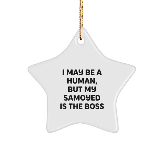 Funny Samoyed Dog Star Ornament Gifts from Men to Friends for Christmas - Image 1