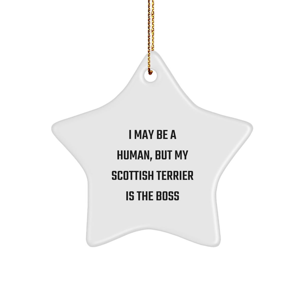 Funny Scottish Terrier Dog Gifts from Men to Family Members - Christmas Unique Star Ornaments with Quote 'I May Be A Human, But My Scottish Terrier Is The Boss' - Star Shaped Decorations - Image 1